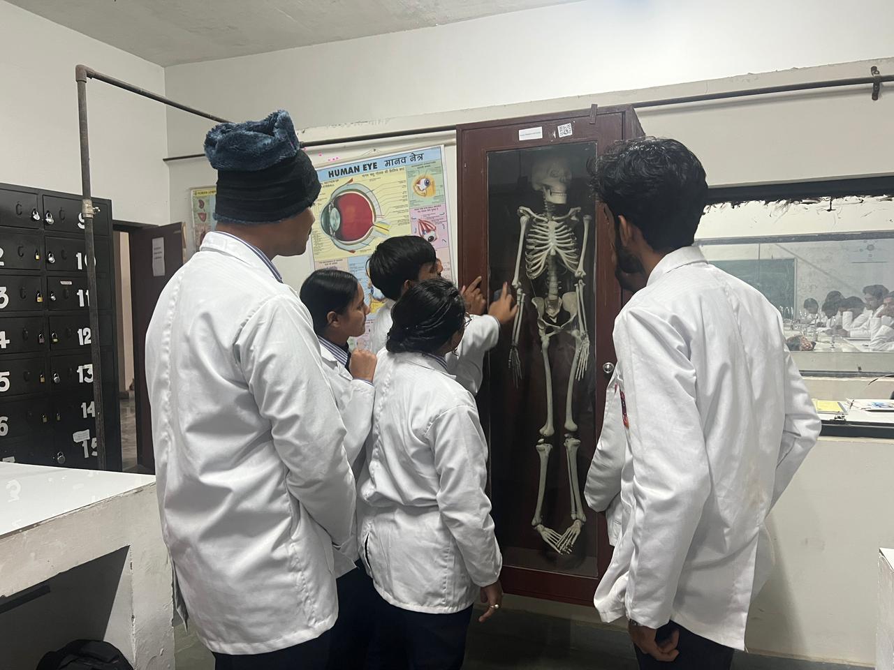 Human Anatomy & Physiology